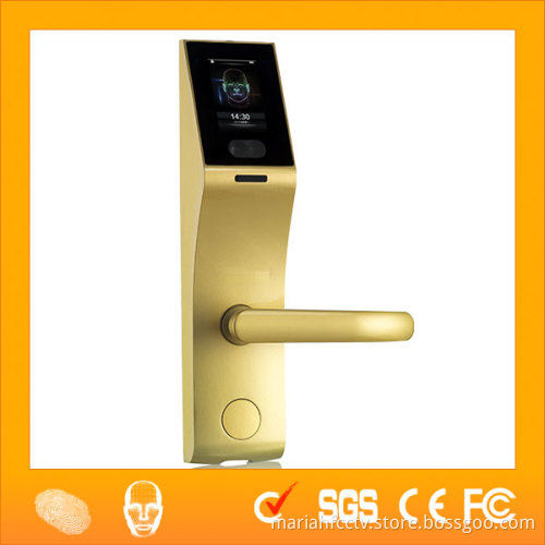 LF100 Double Sides Advanced Face Verification Industrial Door Lock